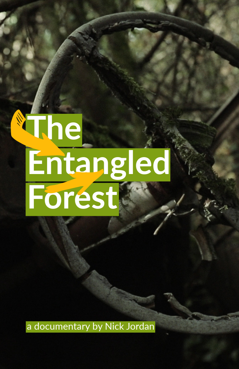 The Entangled Forest